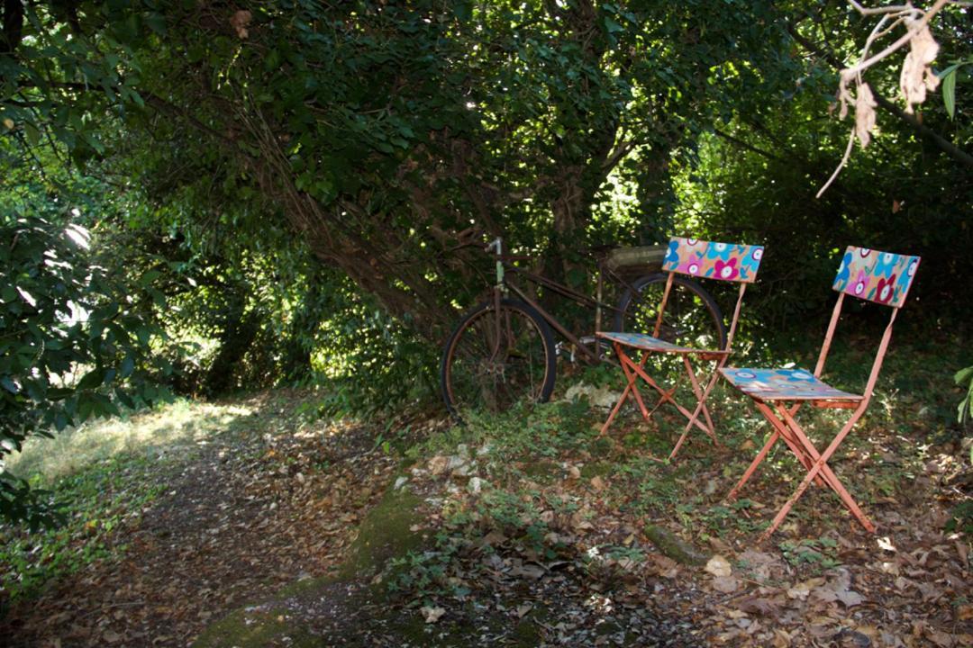 La Charentine Bed & Breakfast Echillais Exterior photo